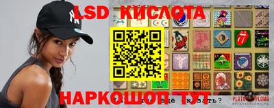 ГАЛЛЮЦИНОГЕННЫЕ ГРИБЫ Можга