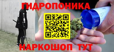 ГАЛЛЮЦИНОГЕННЫЕ ГРИБЫ Можга