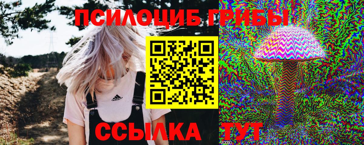 Славгород  Галлюциногенные грибы MAGIC MUSHROOMS  Вход с VPN 
